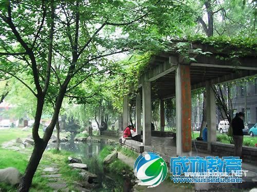 成都中医药大学医药行业的高水平大学