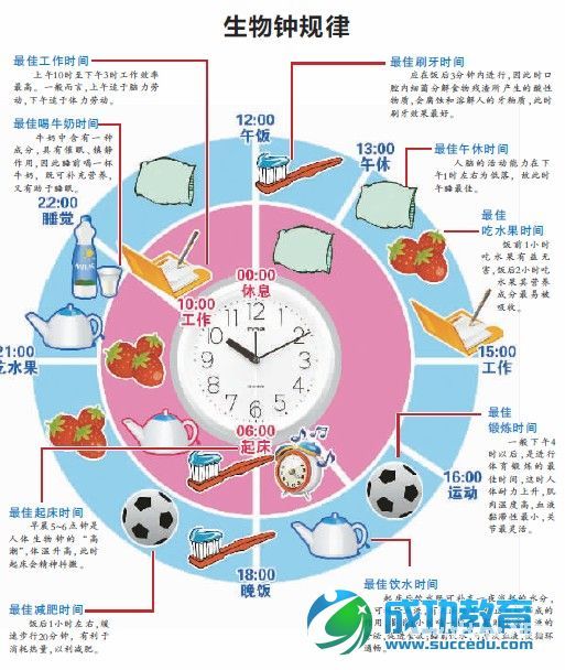 耶鲁博士称找到了时钟分子 夜猫子今后有药可救了