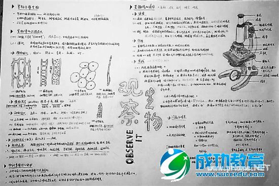 太有才初三学生的课堂创意笔记画着记 