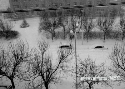 强降雪致黑龙江部分学校停课 