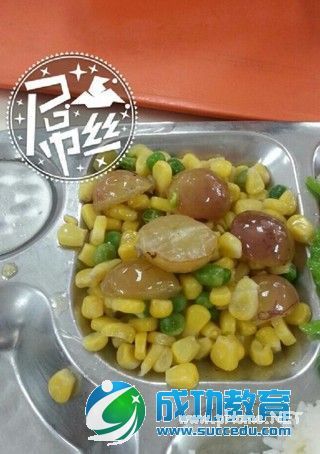 高校食堂再现神菜:菊花春卷炸苦瓜蘸蜂蜜 