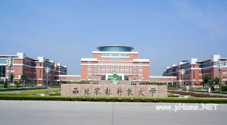 中国内地农林经济管理类专业10强大学排名（图）