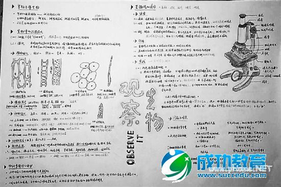 初三学生将生物笔记画成画好玩有趣又实用(图) 