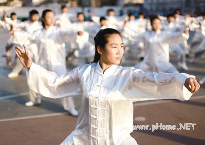 太极拳之乡学生“武”动校园（图） 