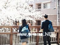 日本留学生人数持续下降，外语水平不过关是主因