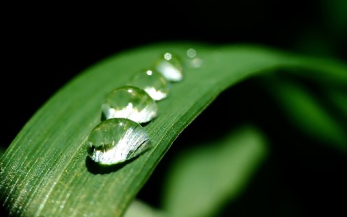 高清壁纸 (190).jpg