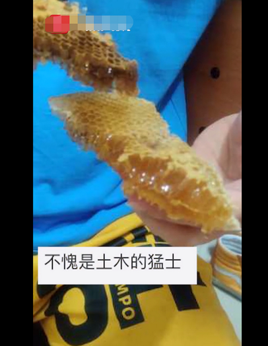 “甜的掉牙！”宿舍衣柜惊现蜂窝学生分食蜂蜜，网友：最惨宿舍入侵物