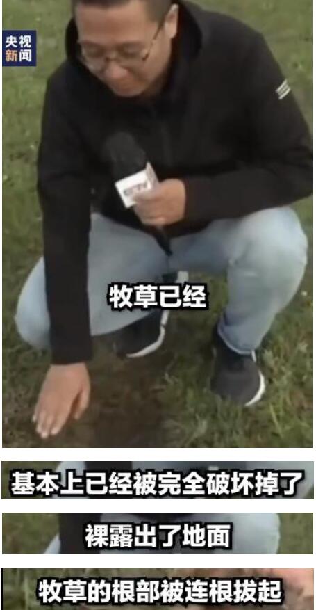 罪有应得！男子开车碾压草原被罚把草种回去 自作自受活该