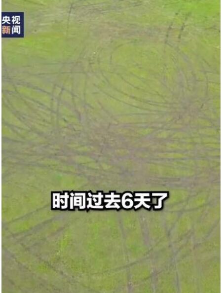 为行为付出代价！男子开车碾压草原被罚把草种回去 非法碾压2.93亩草原