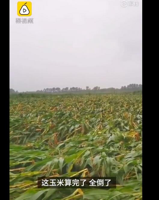 台风凑热闹！半月内东北地区遇台风三连击 这情况历史少见