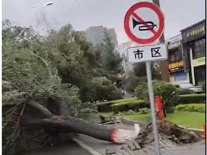 台风凑热闹！半月内东北地区遇台风三连击 这情况历史少见