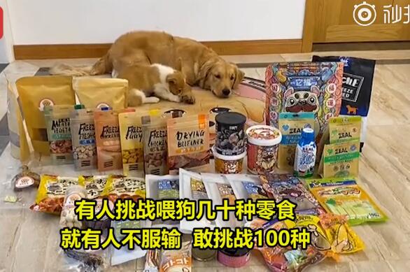 太残忍了！宠物博主让狗当大胃王 被强制喂食的宠物生无可恋