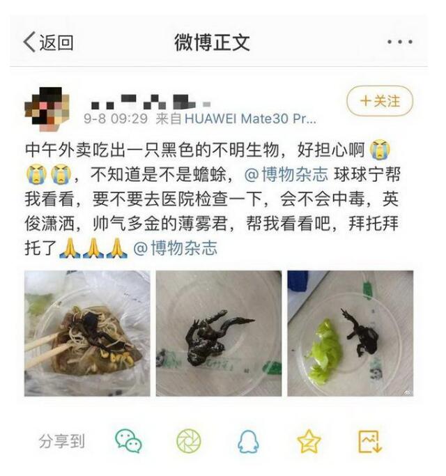 太可怕了！女子点外卖里面竟有只癞蛤蟆 具体是怎么一回事?