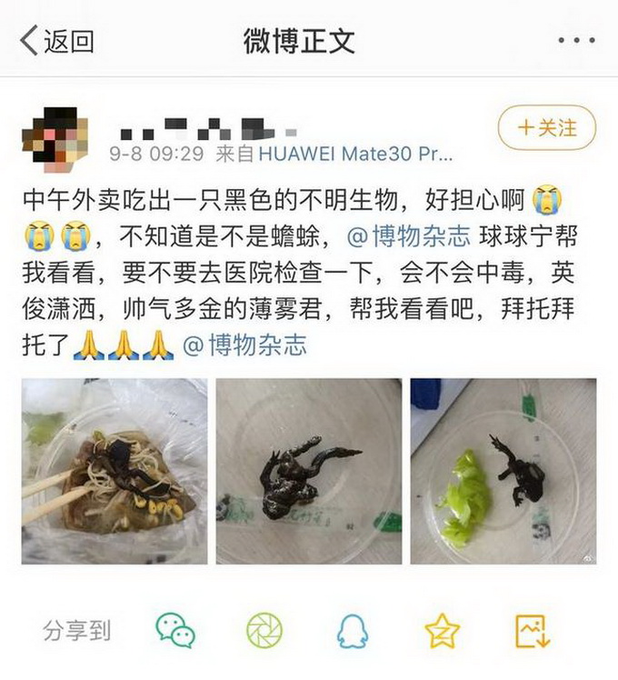 女子点外卖里面竟有只癞蛤蟆是怎么回事?什么情况?终于真相了,原来是这样! 