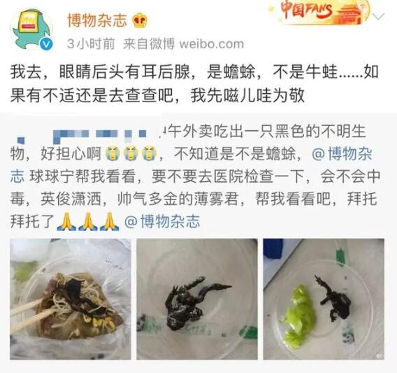 图片引起不适！女子点外卖里面竟有只癞蛤蟆 瞬间呕了