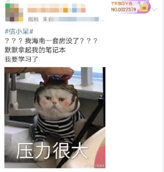 出道即翻车！信小呆一元转让中国锦鲤是骗人的？