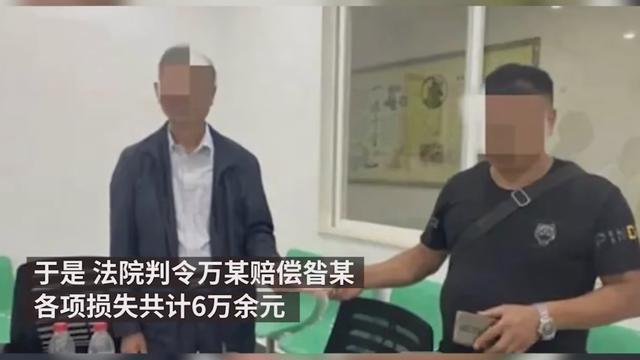 爱心也有错？流浪狗撞伤老人投喂者赔4万，具体是怎么回事？