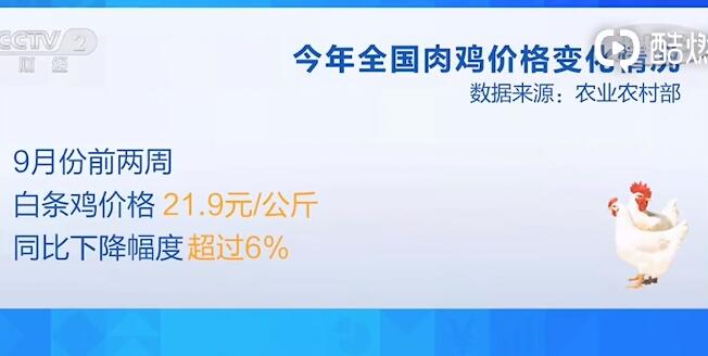 【鸡肉自由了吗？】全国鸡肉价格3年首降 商家大促销行情火热