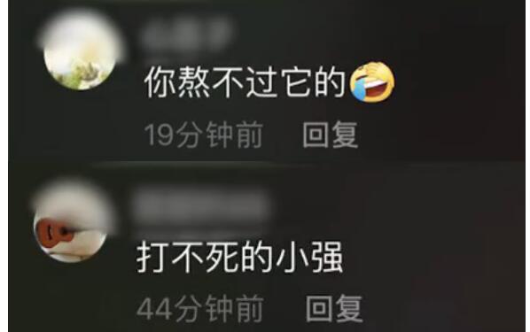 【心态崩了】蟑螂被盖在锅盖下20天 不吃不喝能活多久?