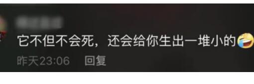 【心态崩了】蟑螂被盖在锅盖下20天 不吃不喝能活多久?