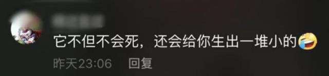 太恶心了!蟑螂被盖在锅盖下20天,放话让它牢底坐穿,结局不淡定了