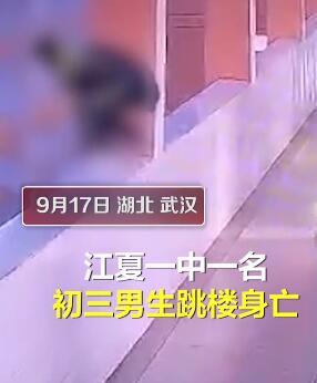 14岁男生被母亲扇打后跳楼坠亡什么情况？终于真相了，原来是这样！