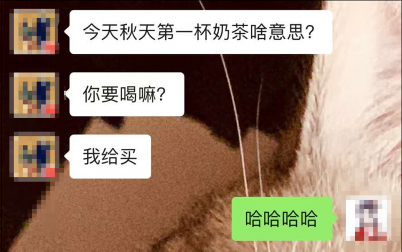 突然刷屏！秋天的第一杯奶茶是什么梗？什么意思？