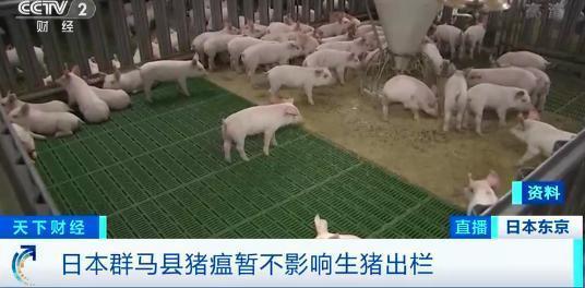 什么情况?日本已扑杀生猪17万头 业内担忧猪瘟向各地进一步蔓延