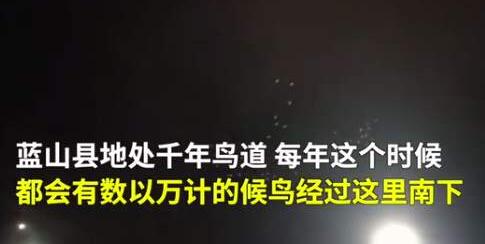 【围观】湖南蓝山为候鸟迁徙连关3天射灯 防止低空飞行被影响视线