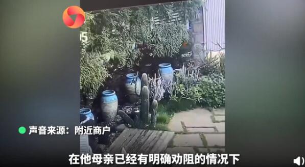【引众怒】游客景区5脚踹断仙人掌,不文明行为就该拉黑