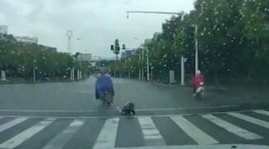 太吓人了！孩子不慎跌落电动车被家长踹倒现场图曝光