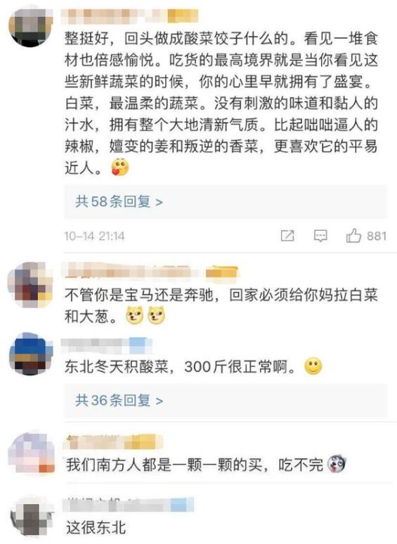 吓到了！东北大娘雇车囤300斤白菜，网友：这很东北