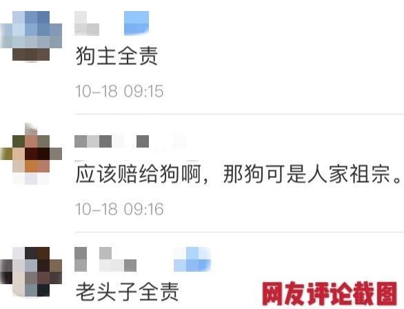 人撞狗！60岁大爷玩轮滑和未牵绳的狗相撞 狗主人：有理说不清