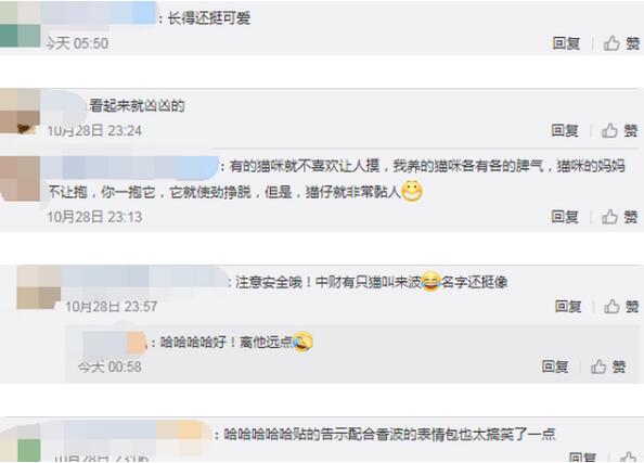 【破案了】北大流浪猫因抓人被连贴12张告示意外走红