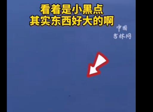 长白山水怪？曝长白山天池出现不明物体 这到底是什么？