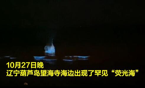 【如梦似幻】葫芦岛海边现罕见荧光海 蓝光星海辉映好浪漫