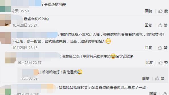 北大流浪猫因抓人被连贴12张告示,脾气不好还想骗吃骗喝?