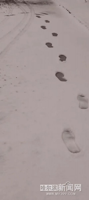 【最新】暴雪预警升级为橙色 雨雪“到货”时间表在这！