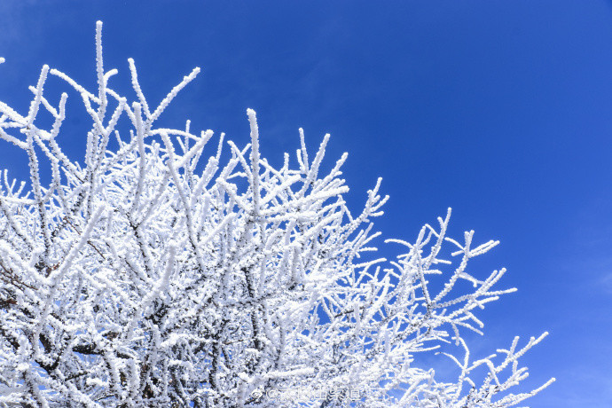 冰雪奇缘!秦岭太白山雪后雾凇美景 仿佛置身冰雪童话世界