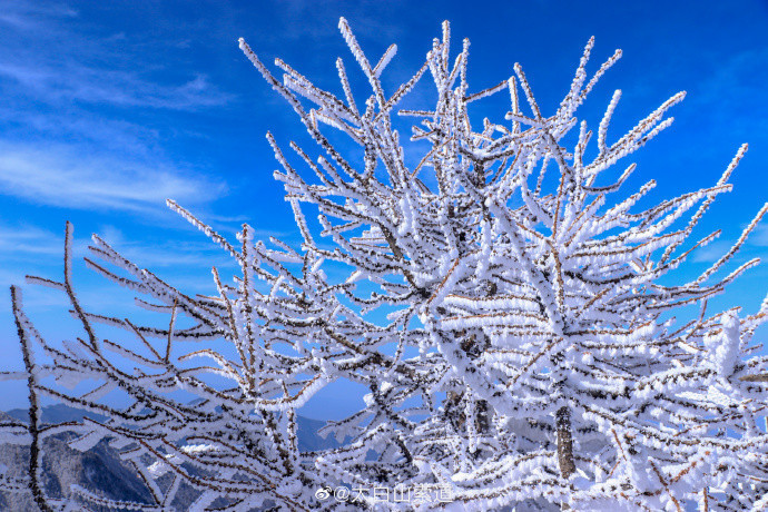 冰雪奇缘!秦岭太白山雪后雾凇美景 仿佛置身冰雪童话世界