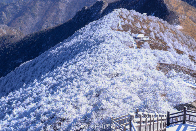 秦岭太白山雪后雾凇美景 你有时间我有景，小伙伴们还在等什么