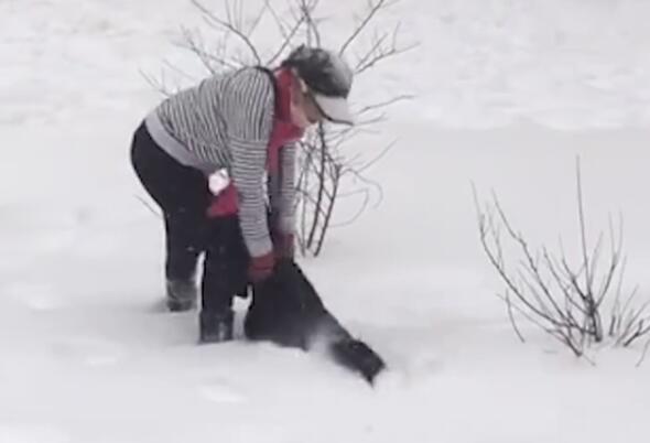 神操作！东北大妈用雪洗貂皮大衣 抓起一把雪清理大衣帽子