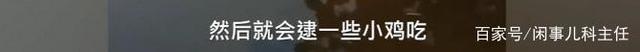 安徽女子河边洗碗遇野生扬子鳄 与恐龙属同一时代