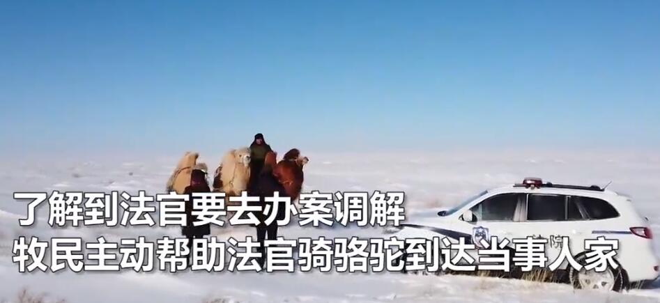 帅!法官骑骆驼穿越雪地办案,到底发生了什么？