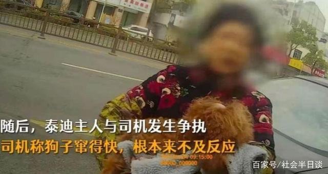 狗狗未拴绳过马路被撞死主人全责 到底发生了什么？