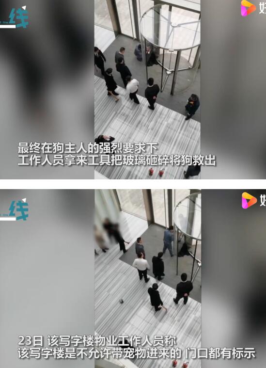 宠物狗被卡旋转门女子倒地哭喊，物业无奈拆门