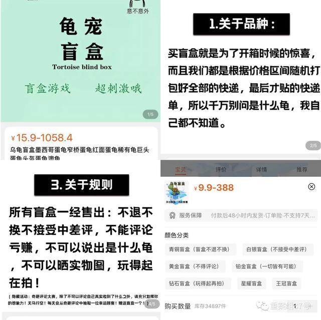 起底活体动物盲盒乱象:售出不退换 这样的行为违法吗？