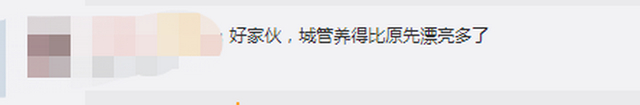 株洲城管没收5匹马8个月花销10万 无奈拍卖还流拍了