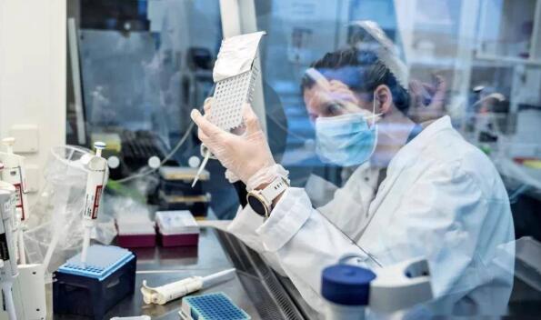 美疾控主任:纽约发现变异新冠病毒,令人细思极恐! 美疾控主任:纽约发现变异新冠病毒,令人细思极恐!