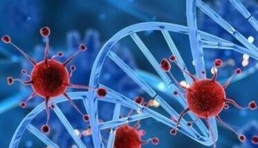 美疾控主任:纽约发现变异新冠病毒,令人细思极恐! 美疾控主任:纽约发现变异新冠病毒,令人细思极恐!